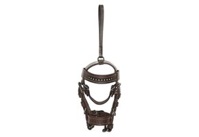 HV Polo Mini Hoofdstel Legacy - Almond