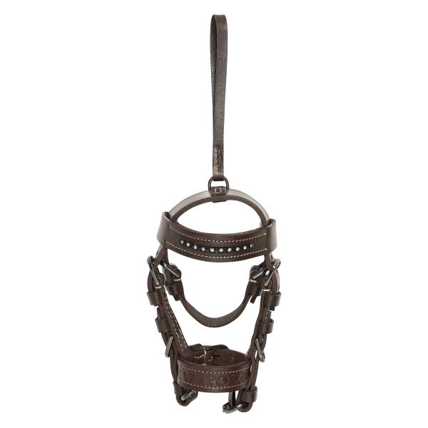 HV Polo Mini Hoofdstel Legacy - Almond