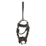 HV Polo Mini Hoofdstel Legacy - Almond