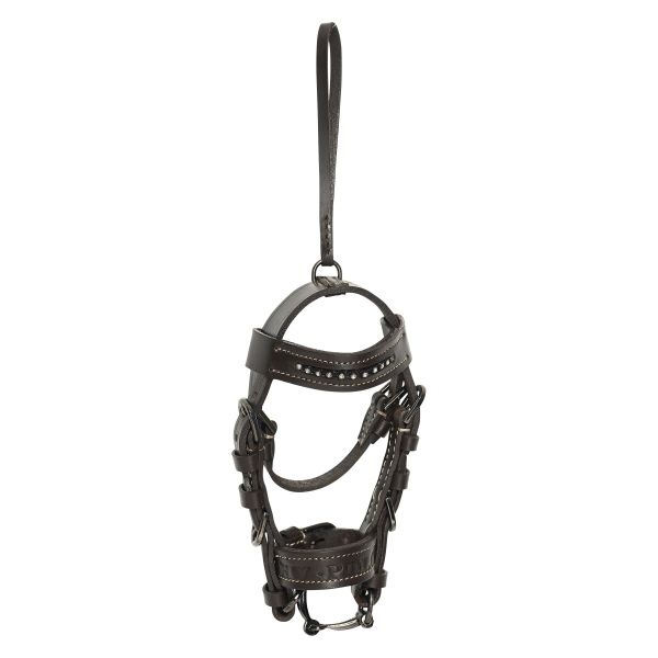 HV Polo Mini Hoofdstel Legacy - Almond