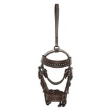 HV Polo Mini Hoofdstel Legacy - Wood