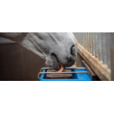 Horslyx Original Balancer - 5 kg