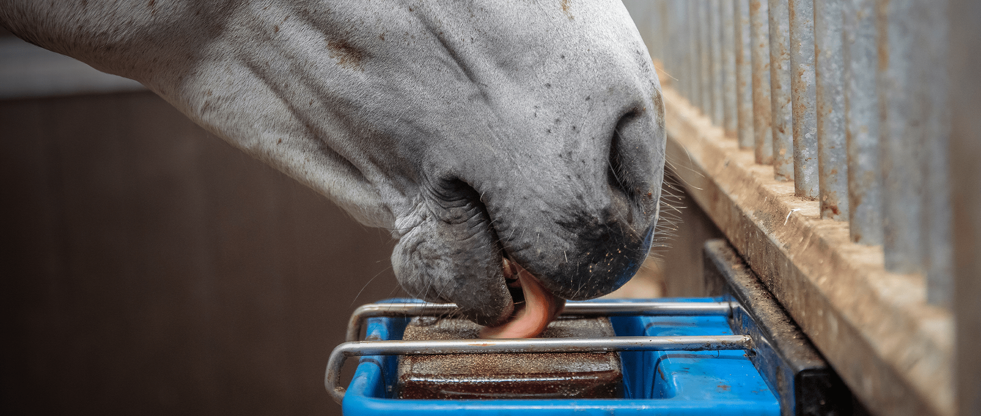 Horslyx Original Balancer - 5 kg