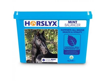 Horslyx Mint Balancer - 5 kg