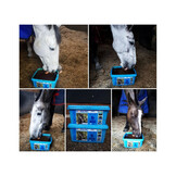 Horslyx Mint Balancer - 5 kg
