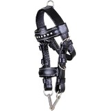 HB Mini Hoofdstel - Zwart