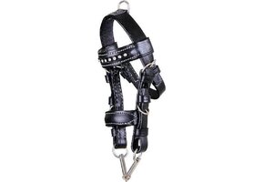 HB Mini Hoofdstel - Zwart