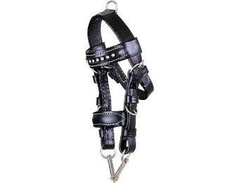 HB Mini Hoofdstel - Zwart