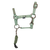 HV Polo Hobby Horse Halsterset HVPRuby - White