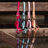 Harry's Horse Veulenhalster Metal - Pink Dolphin