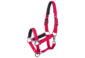 Harry's Horse Veulenhalster Metal - Barberry