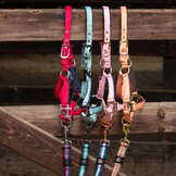 Harry's Horse Veulenhalster Metal - Pastel Turquoise