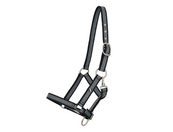 QHP Veulenhalster Collection  - Palm Green