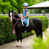 QHP Bareback Pad Rosalynn - Roze Blauw