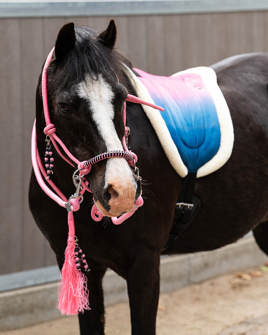QHP Bareback Pad Rosalynn - Roze Blauw
