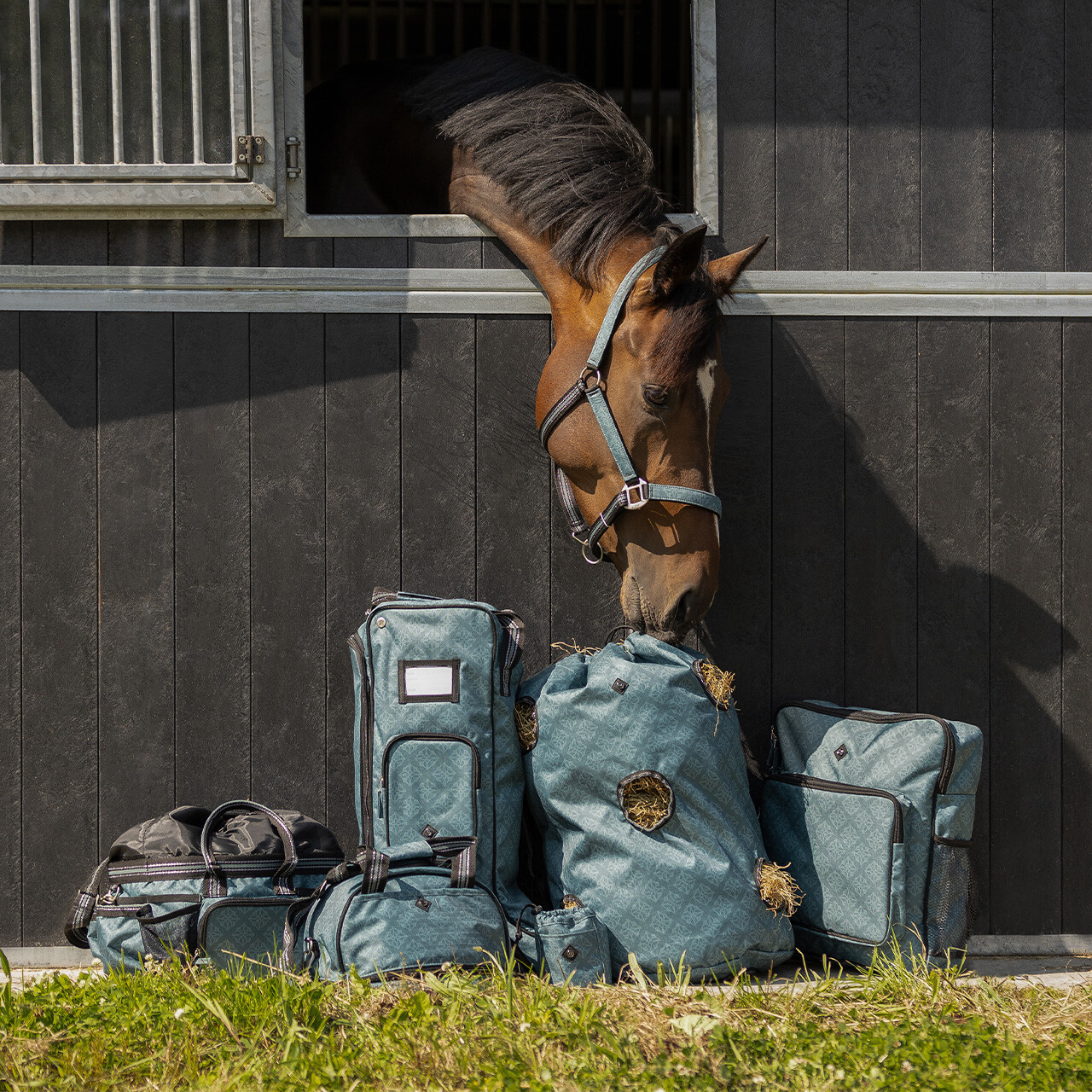 QHP Staltas Collection - Misty Blue