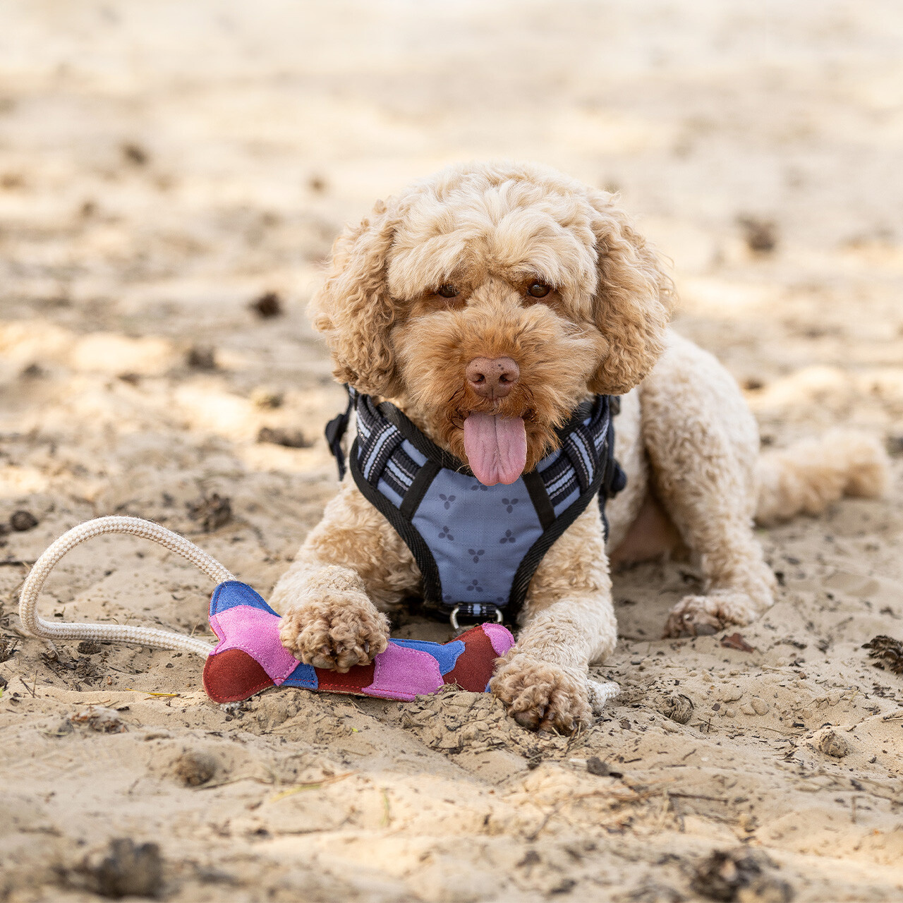 QHP Hondenspeelgoed Collection