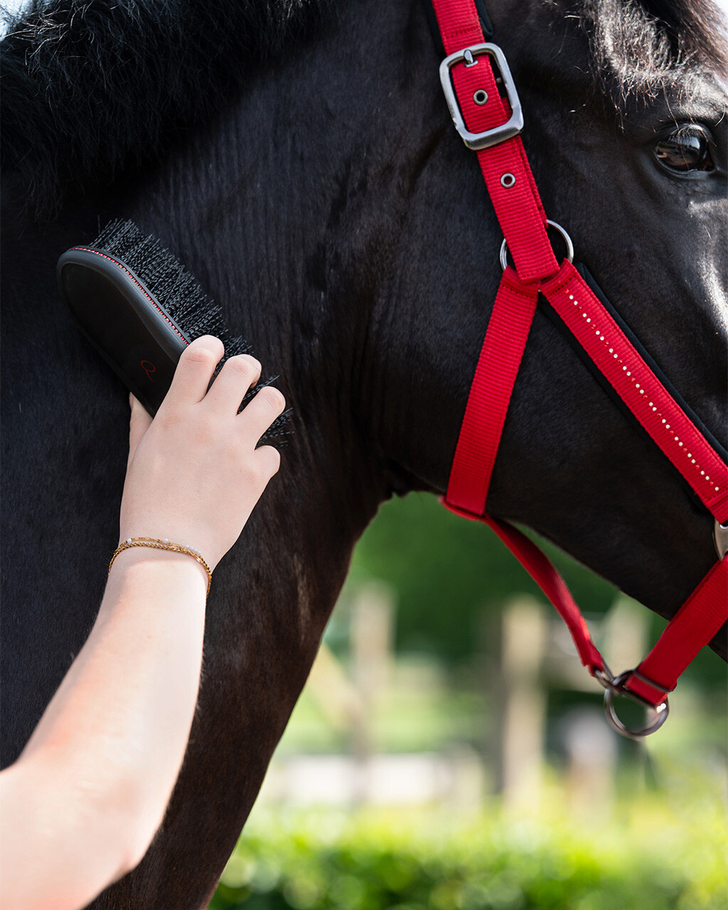 QHP Zachte borstel Oakleigh - Zwart