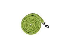 HKM Touw GlowLine met Karabijnhaak - Groen