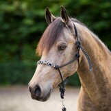 HV Polo Touwhalster HVPLamu - Black