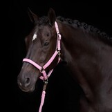 HV Polo Halster HVPNena - Pretty Pink