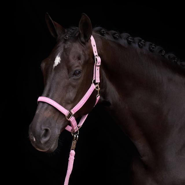 HV Polo Halster HVPNena - Pretty Pink