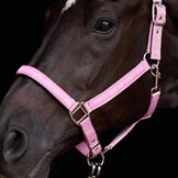 HV Polo Halster HVPNena - Pretty Pink