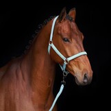 HV Polo Halster HVPNena - Aqua Sky