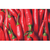 Leovet Anti-Bite - 500 ml