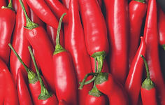 Leovet Anti-Bite - 500 ml