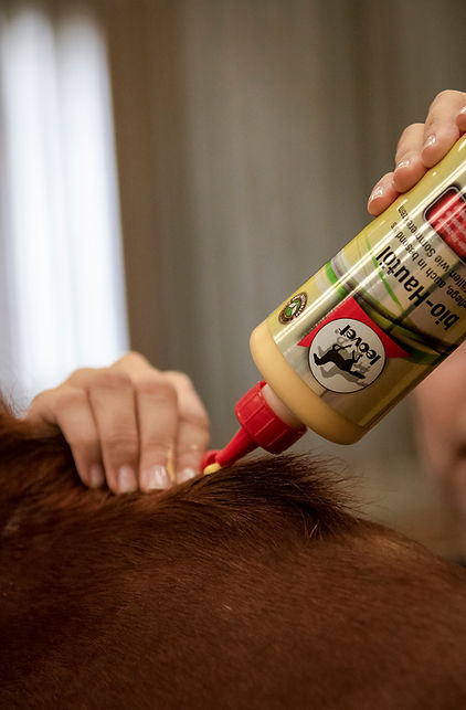 Leovet Bio-Huidolie - 500 ml