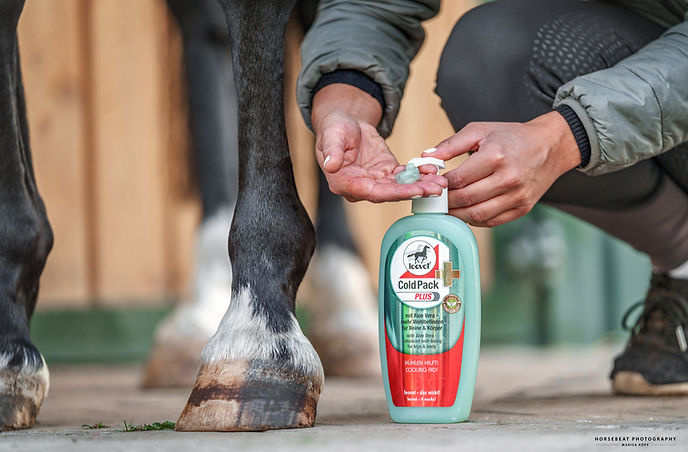 Leovet Cold Pack Plus - 500 ml