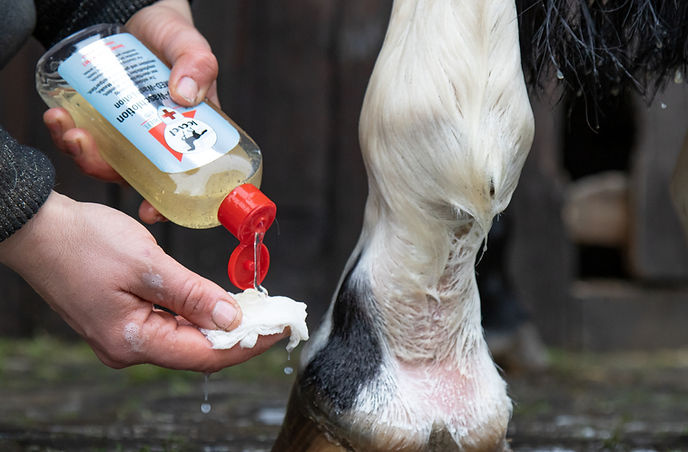 Leovet First Aid MED-Wash Lotion - 250 ml