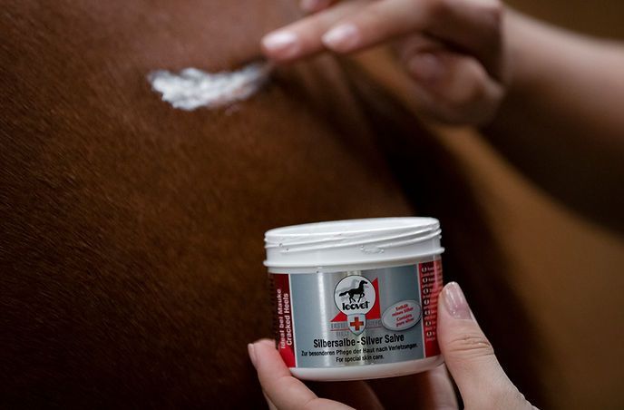 Leovet First Aid Zilverzalf - 150 ml