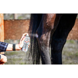 Leovet First Aid Zinc Oxide Spray - 200 ml