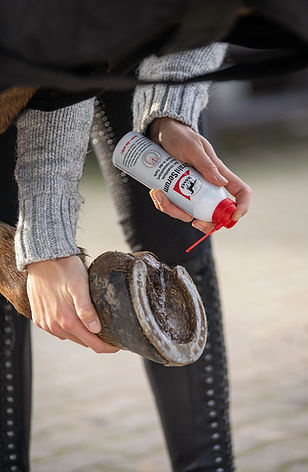 Leovet Stralenspray FrogMedic - 200 ml