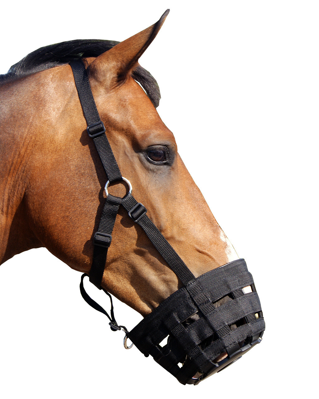 QHP Graasmasker - Zwart