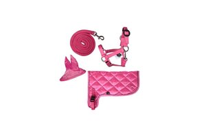 HKM Hobby Horse Neon Set - Neon Roze