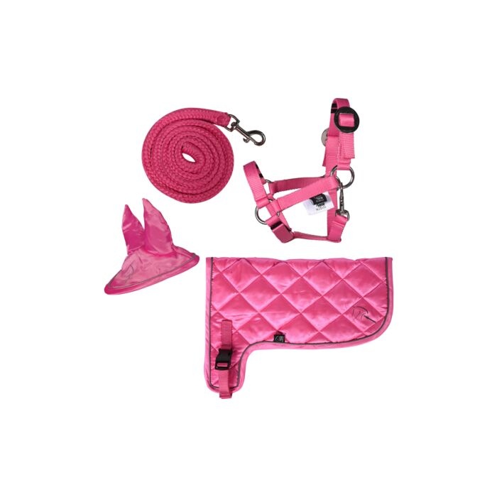 HKM Hobby Horse Neon Set - Neon Roze