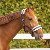 QHP Halster Cali Navy