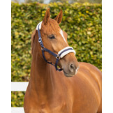 QHP Halster Cali Navy