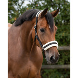 QHP Halster Cali Navy