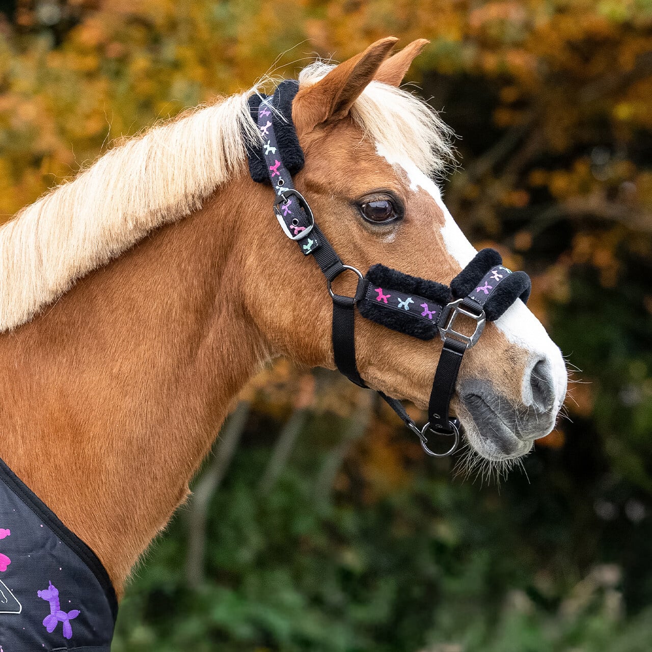 QHP Halsterset Isalyn Unicorn Dream