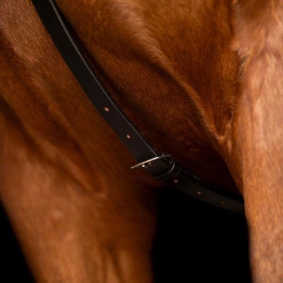 Imperial Riding Martingaal Core - Zwart - Maat Full