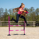 QHP Hindernis Hobby Horse