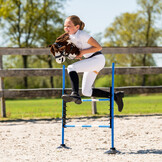 QHP Hindernis Hobby Horse