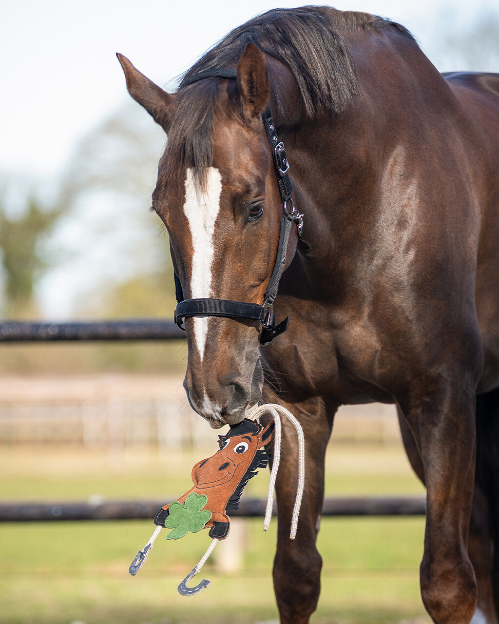 QHP Paardenspeelgoed Good Luck