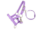 QHP Halsterset Hobby Horse - Lila