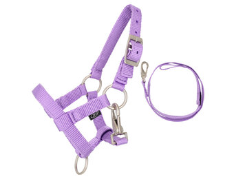 QHP Halsterset Hobby Horse - Lila
