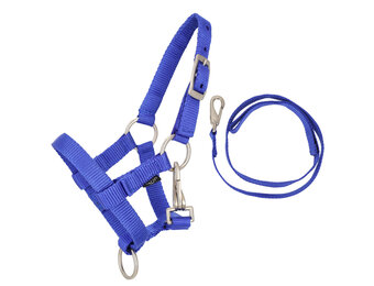 QHP Halsterset Hobby Horse - Kobalt Blauw